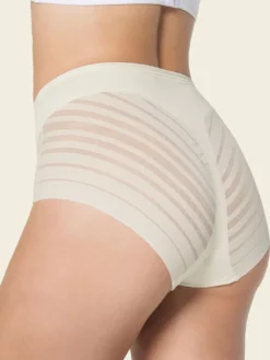 Braga faja clásica con control moderado de abdomen y bandas en tul Leonisa 012903