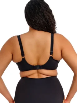 Parte de arriba Bikini moldeado Elomi Swim Plain Sailing Plunge Black