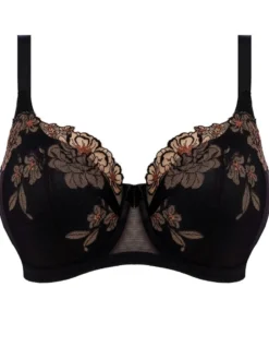 Sujetador Balconet con relleno Elomi Teagan Padded EL302615