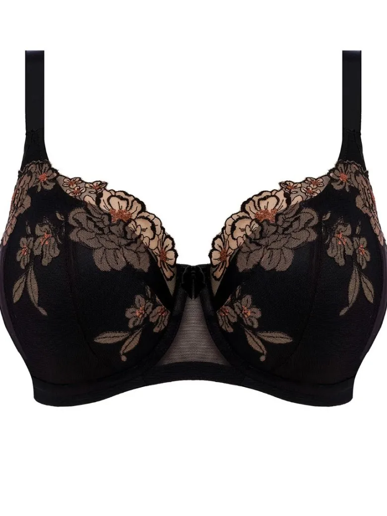 Sujetador Balconet con relleno Elomi Teagan Padded EL302615