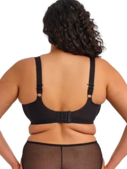 Sujetador sin relleno y con aros Elomi Charley plunge EL4382